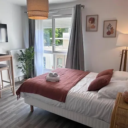Le Terrarosa, A Rennes Apartment *